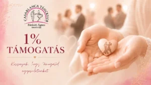 Casablanca Ado 1 szazalék támogatás